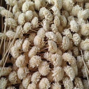 product image Wholesale 3mm Wooden Fiber Sticks Essential Oil Diffuser Fiber Sticks SK-DSK03