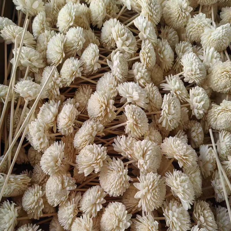Wholesale 3mm Wooden Fiber Sticks Essential Oil Diffuser Fiber Sticks